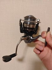 Mulinello da spinning Daiwa
