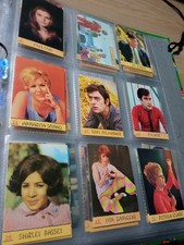 Figurina Cantanti Panini