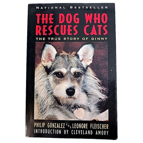 The dog who rescues - the, ginny