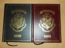HARRY POTTER DIARIO HOGWARTS 2021-22 LIMITED EDITION 2 COPIE 2 COLORI MAI USATI