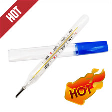 1PZ Termometro di precisione