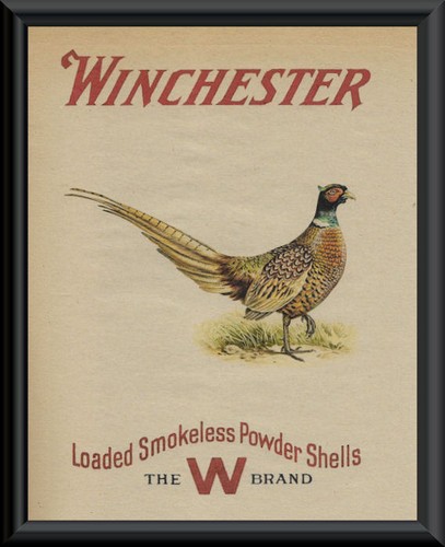 Winchester fagiano caccia - fagiano,