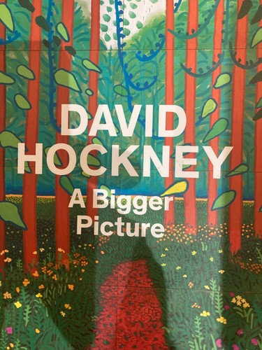 David hockney bigger picture - bigger,