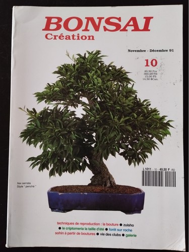 Bonsai création du - bonsai, n°10