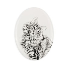 Gatto delle foreste norvegesi