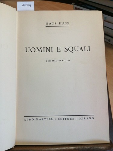 Uomini squali hans - hans,