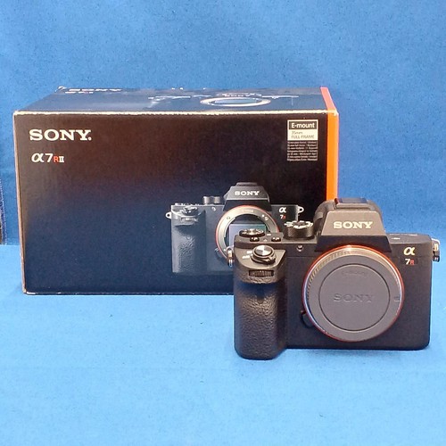 Fotocamera digitale mirrorless