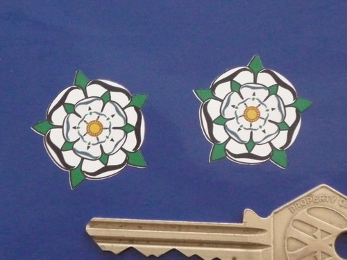 Yorkshire bianco rosa - yorkshire,