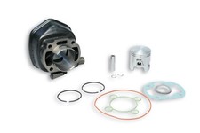 MALOSSI 318283 GRUPPO TERMICO