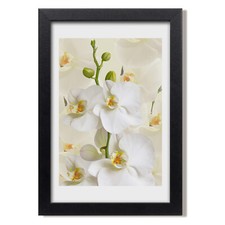 Tulup Picture MDF Framed Wall