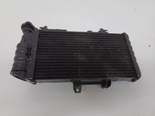 Radiatore Acqua BMW F800R