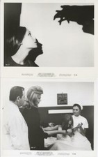 "DIARIO DI UNA RAGAZZA