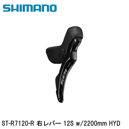 Shimano 105 - shimano, 12s)
