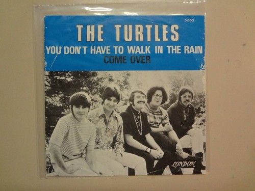 Turtles you don have to - turtles:you,