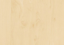 Adesivo STICKY BACK vinile