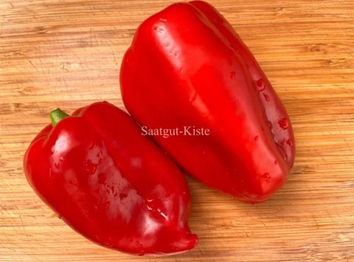 Comandante paprika - comandante,