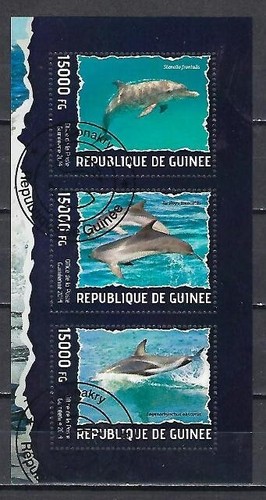 Animali delfini guinea 2014 - delfini,