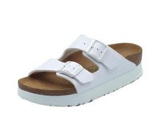 Papillio 1027416 arizona pap - papillio,