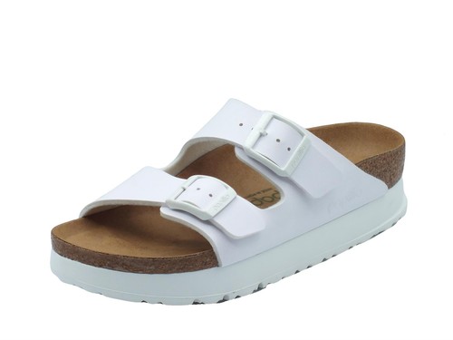 Papillio 1027416 arizona pap - papillio,