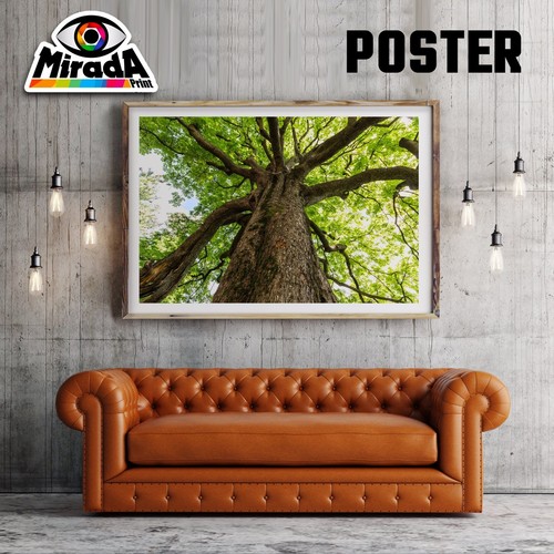 Poster paesaggio albero - paesaggio,
