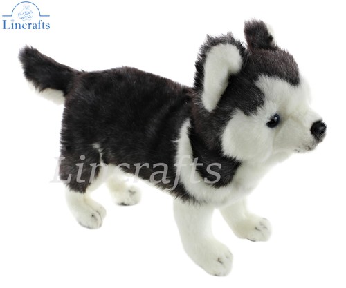 Hansa husky pup - husky, peluche