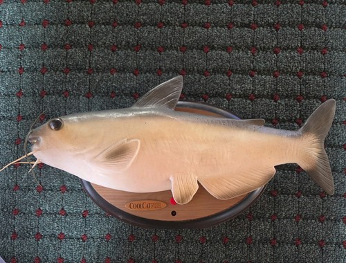 Gemmy cool catfish animato - gemmy,