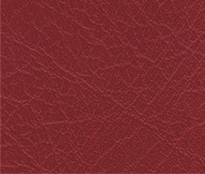 Pellicola Adesiva per Car