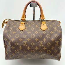 Borsa Louis Vuitton Boston