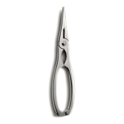 Pinza aragosta astice in - pinza,