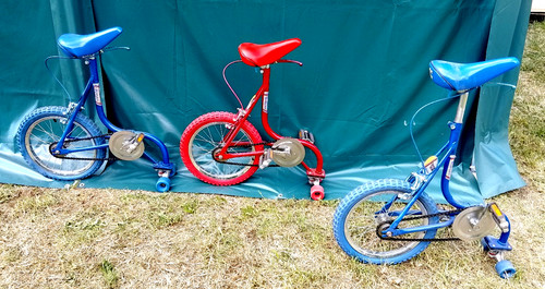 Vecchia minson skate - bike, mai