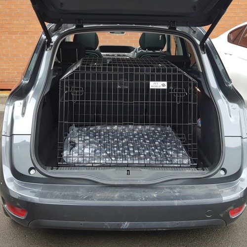 Pet world citroen - world, picasso