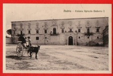 ANDRIA - COLONIA AGRICOLA UMBERTO I -CALESSE -FP -BT