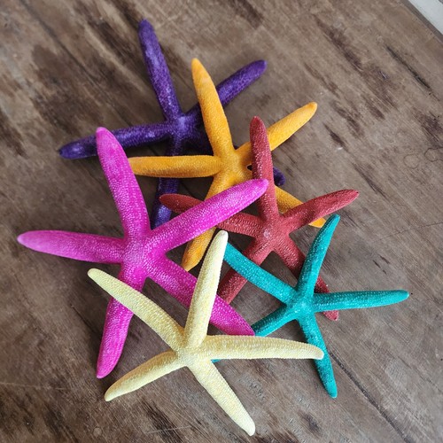 6pc colorful pencil starfish - 6pc,