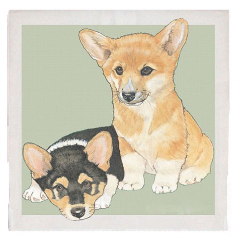 Asciugamano cucina corgi - cucina,