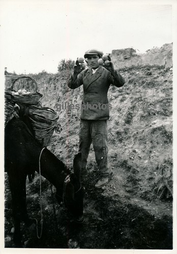 Girgenti agrigente 1950 - girgenti,