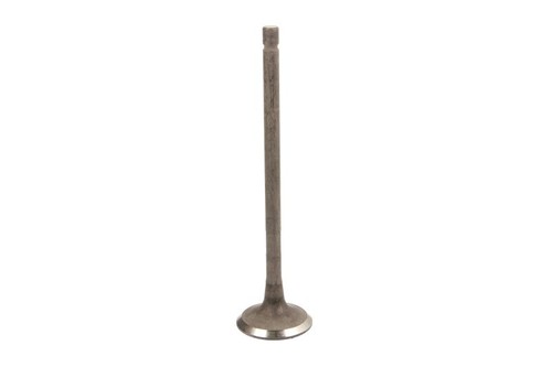 Valvola scarico 6561 rnt - 6561,