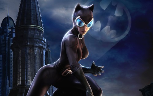 Comics catwoman gatto - dc,