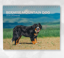 Calendario Bernese per Cani da