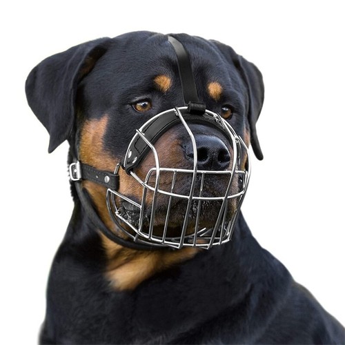 Strong dog muzzle - muzzle, wire