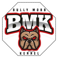 Semi-Automatic Foldable