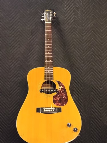 Chitarra acustica vintage