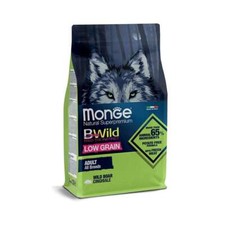 Monge cane bwild adult
