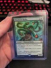 Mossborn Hydra Fondazioni Regolari