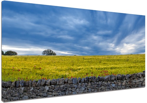 Quadro moderno arredamento - quadro,