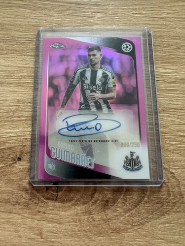 Autografo rifrattore bruno - rifrattore,