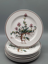 Villeroy & Boch Botanica 7