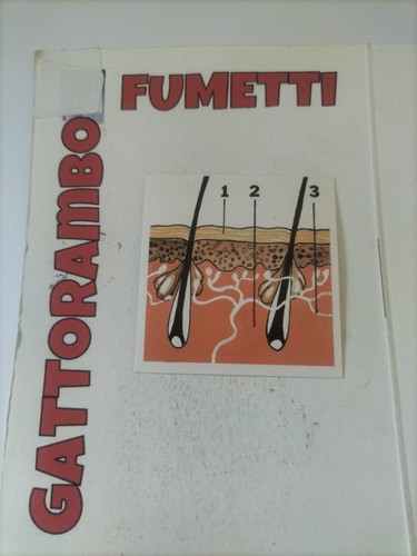 Figurine didattiche conoscere - didattiche,