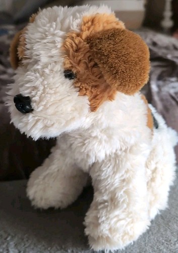 Jaag fox terrier cucciolo cane - terrier,