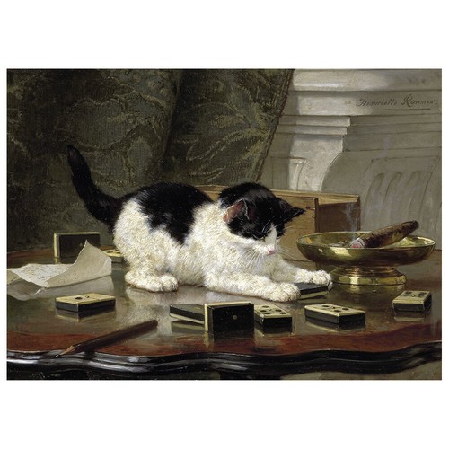 Stampa tela il gatto - stampa,