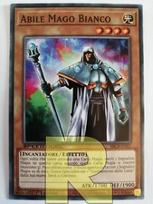 Abile mago bianco skilled - abile,
